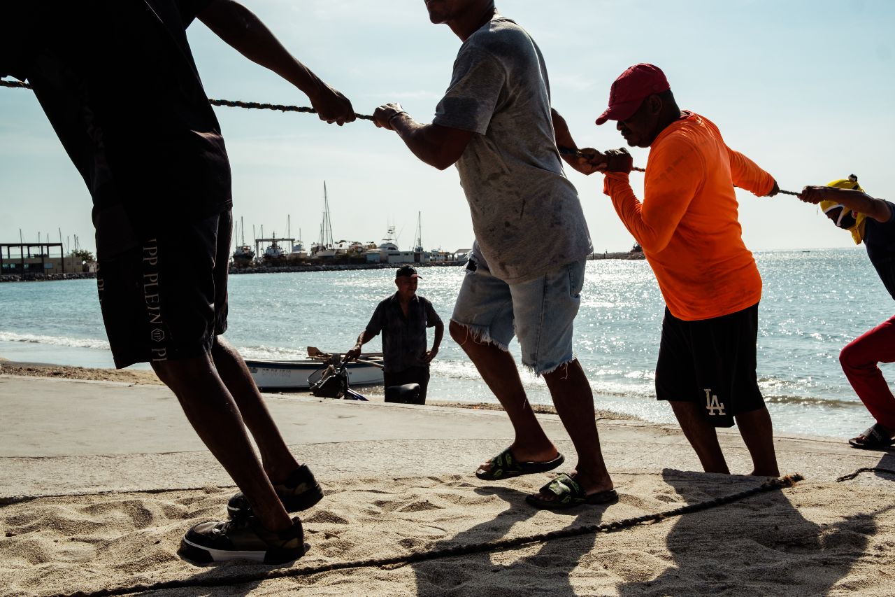 Oda al perrenque y a la esperanza en 'El coronel no tiene quien le escriba'