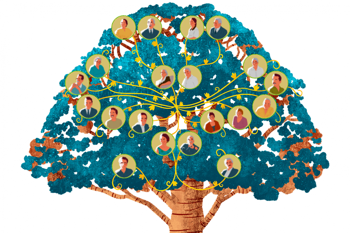 El árbol genealógico de Gabo es una de las actividades interactivas preferidas por los navegantes del especial multimedia.
