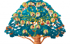 El árbol genealógico de Gabo es una de las actividades interactivas preferidas por los navegantes del especial multimedia.