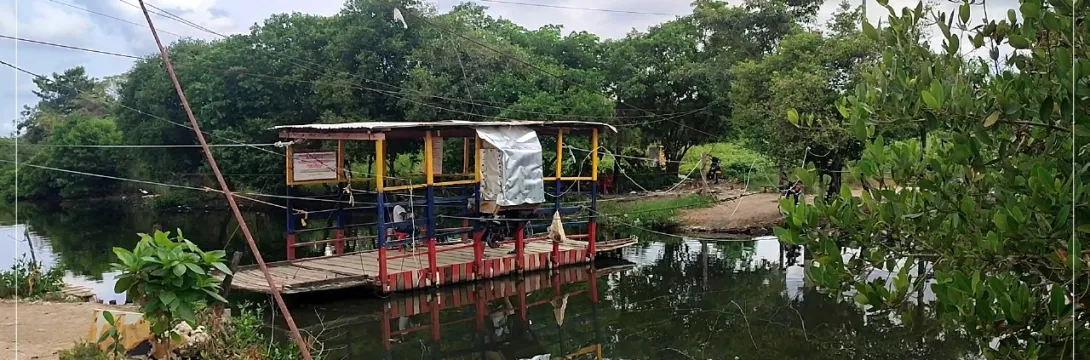 culturas-anfibias